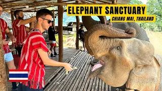 Spending a day with ELEPHANTS! 🐘 | Chiang Mai, Thailand | Travel Vlog