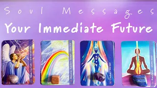 🌙Pick a Card🌙Your Upcoming Changes🌀Solar Exclipse Energies Aligning You to Your Next Soul Focus🍀