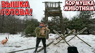 Строю КОРМУШКУ для ЗВЕРЕЙ! ВЫШКА готова!