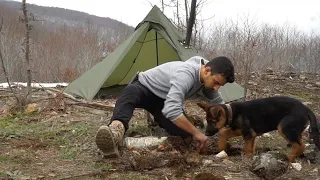 WINTER CAMP WITH MY K9 WOLF DOG / WINTER HOT TENT CAMP