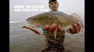 SALTWATER Lure Fishing 101 | Beginners Guide MADE EASY to Catch SALTWATER FISH with lures