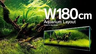 [ADAview] Stand in the Green 蒼く立つ - W180cm Aquarium Layout -【EN/JP Sub.】