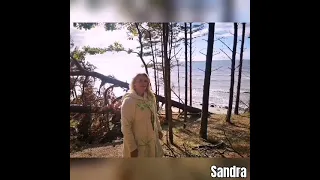 Sandra Girčytė- Auksinis ruduo 2022