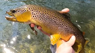 HAPPY EASTER!, Fly Fishing Beautiful Bushkill Creek, "A CONFIDENCE BOOSTER DAY!!"