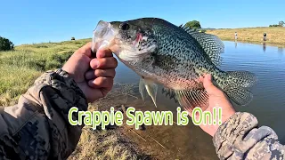 It Won't Last JIGS From The Bank! The CRAPPIES Spawning Is On!!