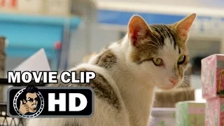 KEDI Movie Clip - Deniz In The Market (2017) Cat Documentary HD