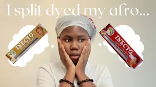 I split dyed my natural hair and these are the results| Dintle Pondo| South African YouTuber