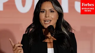 Tulsi Gabbard Shreds The Democrats: 'Has Become This Radical Woke Party That Stands Against Freedom'
