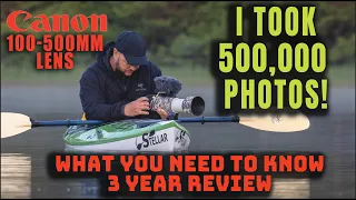 Canon 100-500mm RF Lens - 3 Year Review - Professional Wildlife Photographer - Should You Buy?