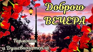 Добрый Вечер. Супер Красивое Пожелание Доброго Осеннего Вечера 🍂ОТКРЫТКА #добрыйвечер #доброговечера