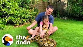 Little Girl Grows Up With Two Python BFFs | The Dodo