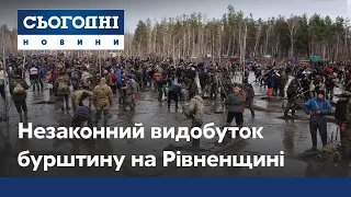 Незаконний видобуток бурштину на Рівненщині