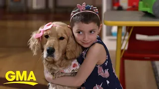 Meet the trained dogs for pediatric patients