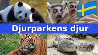 Djurparkens Djur | Namn och Läten | Svenska | För Barn