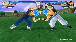 Gogeta & Vegeto SSJGSSJ Fusion Dance VS Broly SSJ4 & Syn Shenron (DBZ Tenkaichi 3 mod)