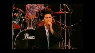 SHAKIN' STEVENS FEATURING DARREL HIGHAM -  HOW COULD YOU BE LIKE THAT (LIVE 1999)