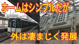 【近鉄奈良線】2面2線の駅なのに外に出ると西大寺よりも発展している奈良県の駅