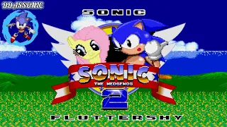 Sonic And Fluttershy in Sonic The Hedgehog 2 • Sonic Hack Longplay