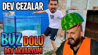 BUZ DOLU DEV AKVARYUM DA HAYATTA KALMA SAVAŞI