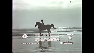 Opening and Closing to The Black Stallion 1983 VHS