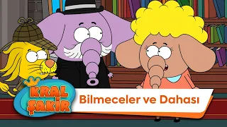 Bilmeceler Ve Dahası - Kral Şakir