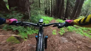 UCSC Whip nice rocky #mtb #flow trail