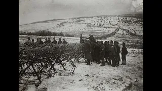 The Great War : The Eastern Front 1914-1918