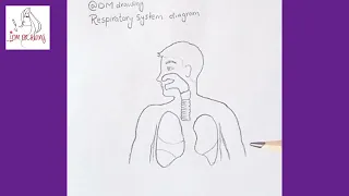easy respiratory system diagram drawing | respiratory system drawing easy | body parts drawing