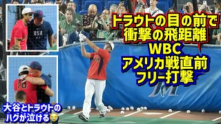 衝撃‼️飛距離がヤバ過ぎる😱大谷のフリー打撃が異次元だった 【現地映像】WBC決勝 日本vsアメリカShoheiOhtani Dodgers