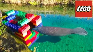 DIY GIANT LEGO FISH TRAP Catches CANAL WHALE!