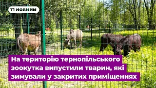 На територію тернопільського зоокутка випустили тварин, які зимували у закритих приміщеннях