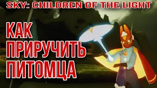 Как приручить птицу/ Sky: children of the light