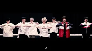 [CHOREOGRAPHY] BTS (방탄소년단) 'Black Swan' Dance Practice(MOVING VER.)(unofficial)