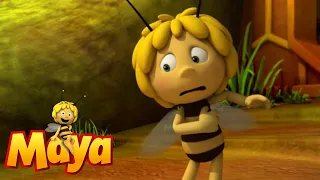 Bee clean - Maya the Bee - Episode 21
