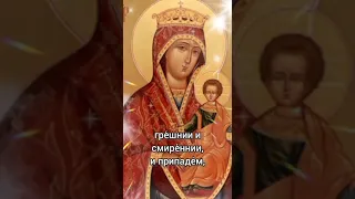 Икона Божией Матери Тотемская - Суморинская. Источник https://youtu.be/ErUGojhaWik