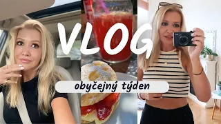 VLOG - OBYČ TÝDEN ⎟ HAUL JÍDLA Z 🇩🇪 SBĚR 🍓🍓🍓