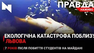 Екологічна катастрофа на Львівщині | 7 років з часу побиття студентів на Майдані | Новини