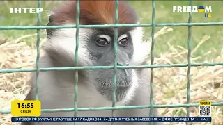 Ровенский зоопарк временно приютил несколько десятков экзотических животных | FREEДОМ - UATV Channel