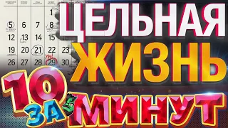 Цельная жизнь за 10 минут от Евгения Вольнова