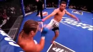 UFC 142 - José Aldo vs. Chad Mendes