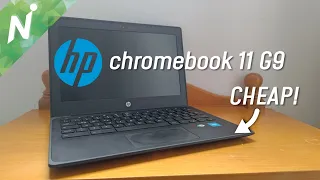 Too cheap? HP chromebook 11 G9 EE review