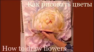 Пион. Быстрый этюд. Как рисовать цветы маслом. Peony. How to draw flowers