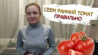 РАННИЙ ТОМАТ УЖЕ 20 ЛЕТ МЫ СЕЕМ ИМЕННО ТАК