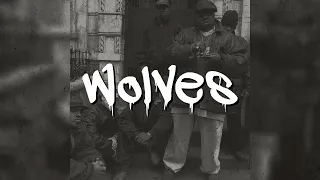 "Wolves" | Old School Hip Hop Beat |  Freestyle Boom Bap Beat | Rap Instrumental | Antidote Beats