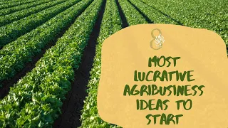 8 Most Lucrative Agricultural Business Ideas To Start In Nigeria