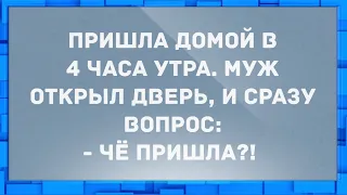 Пришла домой в 4 утра, муж открыл дверь. Анекдоты.