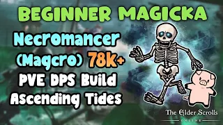 ESO Beginner Magicka Necromancer (Magcro) 78k+ PVE DPS Build Ascending Tides DLC