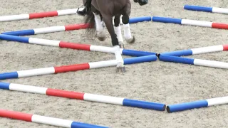 | Your Horse Polework for rhythm, suppleness and core strength