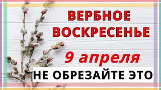 9 апреля Праздник Вербное Воскресенье 2023 / 14 Примет на ЖИЗНЬ, СЕМЬЮ, ПОГОДУ