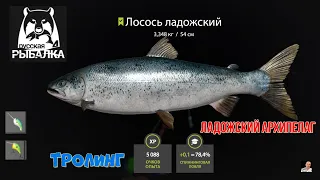 #🐠РУССКАЯ РЫБАЛКА 4#🐠#порыбачим #🐠#ЛАДОЖСКИЙ АРХИПЕЛАГ#🐠троллинг🐠ПРОВЕРКА ТОЧКИ